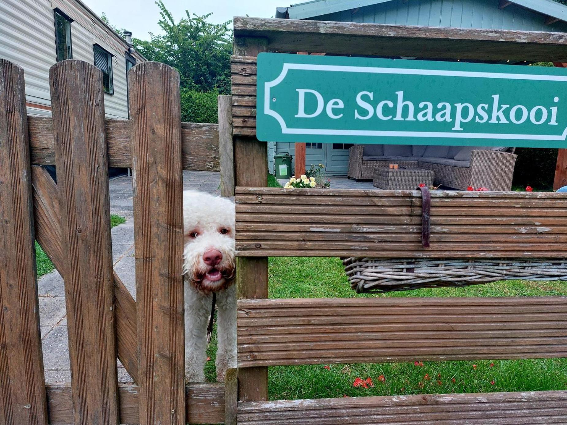 Westergeest Familychalet De Schaapskooi, 6-Persons, Big Private Garden, Dogs Aloud מראה חיצוני תמונה